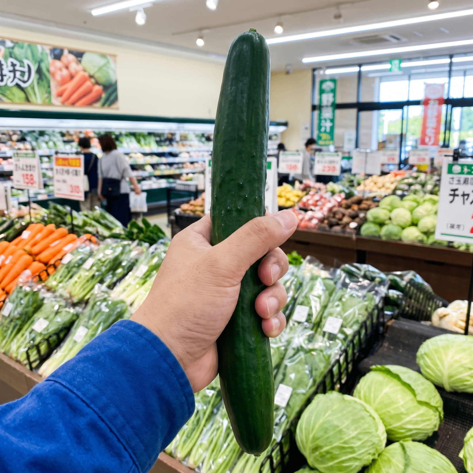 スーパーの野菜売り場で、まっすぐ伸びたきゅうりを手に持つ男性